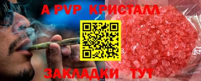 стаф Рязань