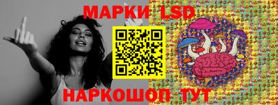 стаф Рязань