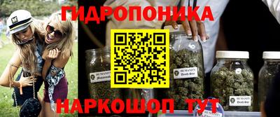 стаф Рязань