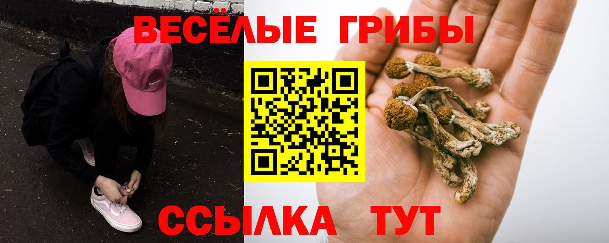 Псилоцибиновые грибы прущие грибы  Вход с VPN  купить закладку  Сертолово 
